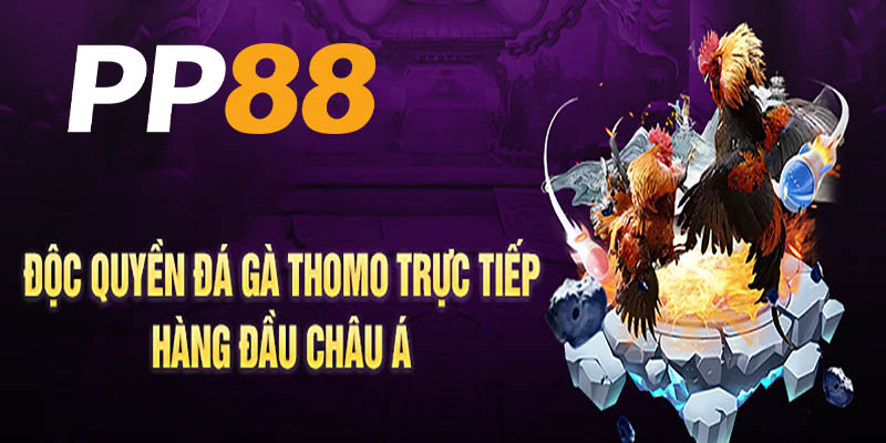 Những chiến binh gà mạnh nhất tại đá gà PP88